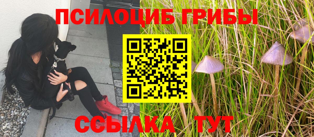 Галлюциногенные грибы мицелий  Вход с VPN  Острогожск 
